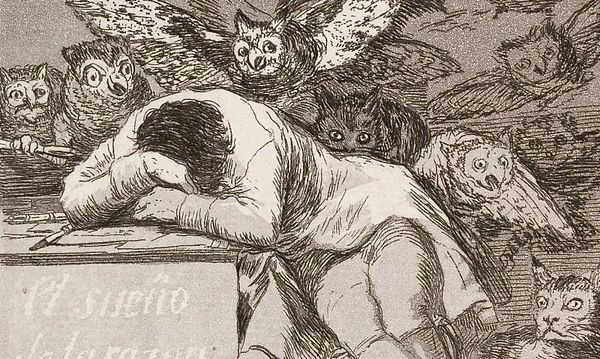 深度剖析：为何我对FXS情有独钟，认定其为23-24年最值得押注的项目