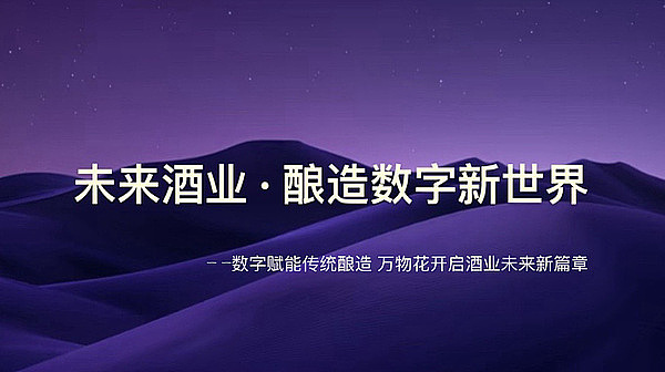 零知识证明语言大盘点：从Noir到Lurk的技术解析