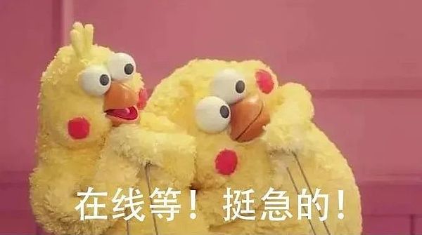 LINK鲸鱼玩家再现扫货模式：300万枚代币被神秘大户收入囊中